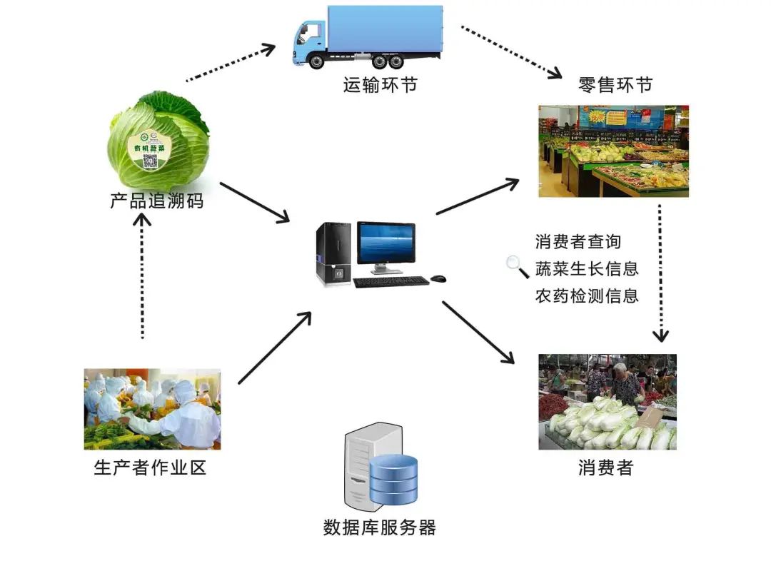 创新农产品供应链模式,推进农业高质量发展 - 腾来雾往