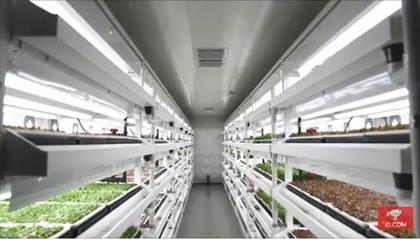 携手三菱化工!京东自建植物工厂 不打农药营养价值远高于普通种植