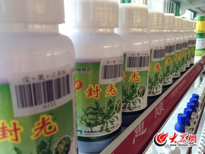 安丘模式:标准化打通农产品出口绿色通道