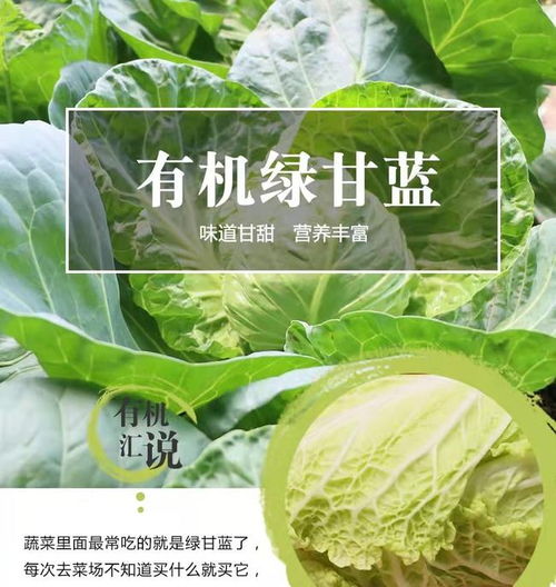 绿色食品零售 非农药更健康